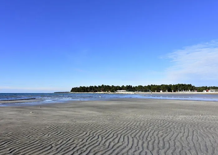 Gallery Sandro By Interhome * Umag