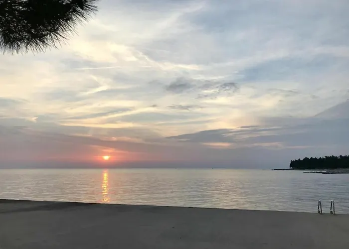 Gallery Sandro By Interhome Appartement