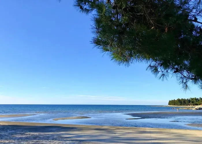 Gallery Sandro By Interhome Umag