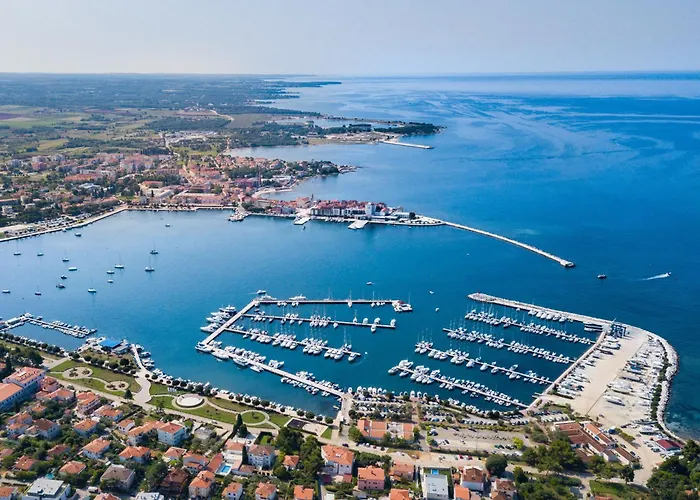 Gallery Sandro By Interhome Appartamento *